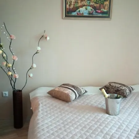 Apartment Sunny Studio